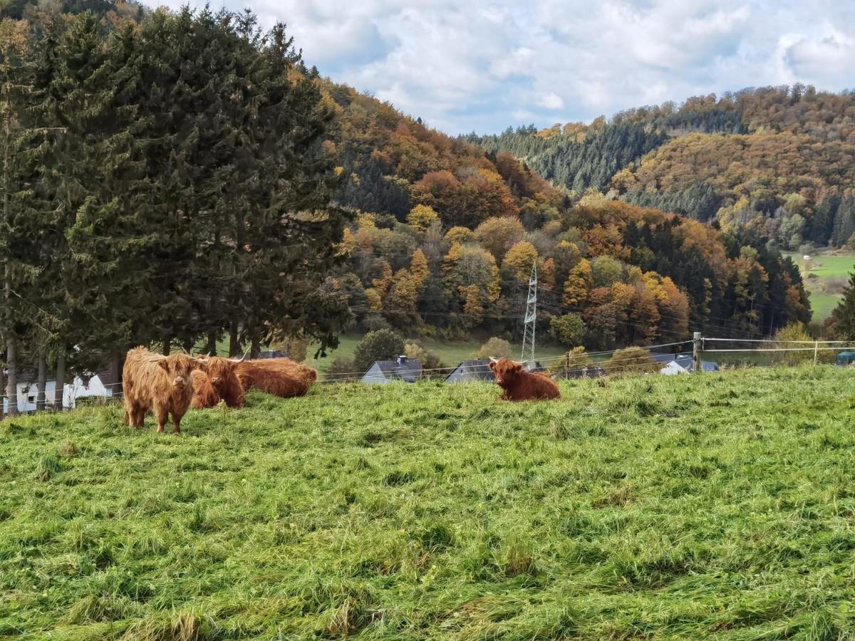 Ferienhaus Waldblick Hohenfels-Essingen Exteriér fotografie